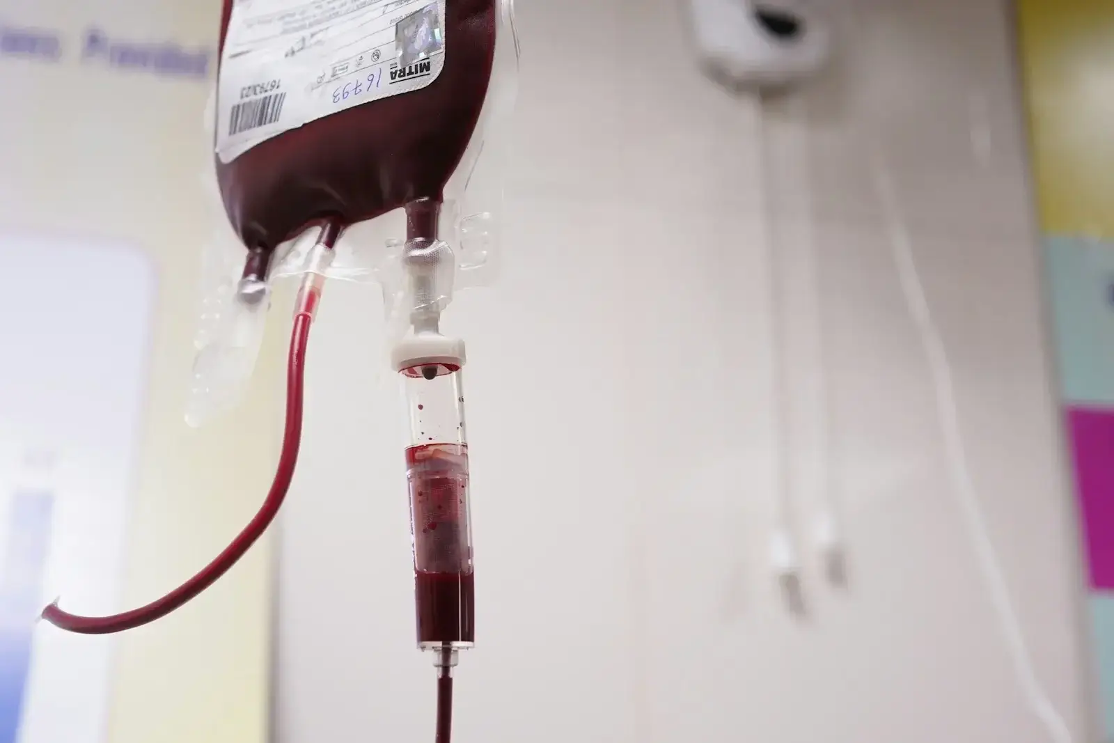 Imagen del enlace «Carbón activado para la purificación de la sangre»