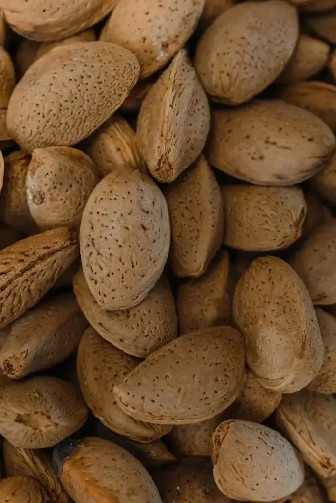 Imagen destacada: Carbón activado de cáscara de almendra