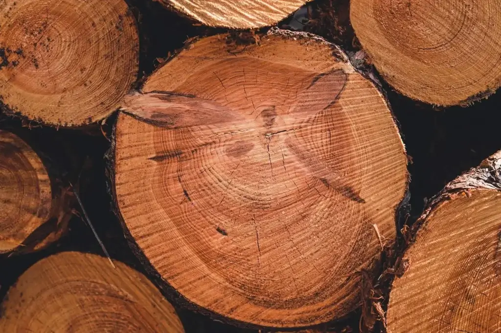 Imagen de un enlace sobre carbón vegetal